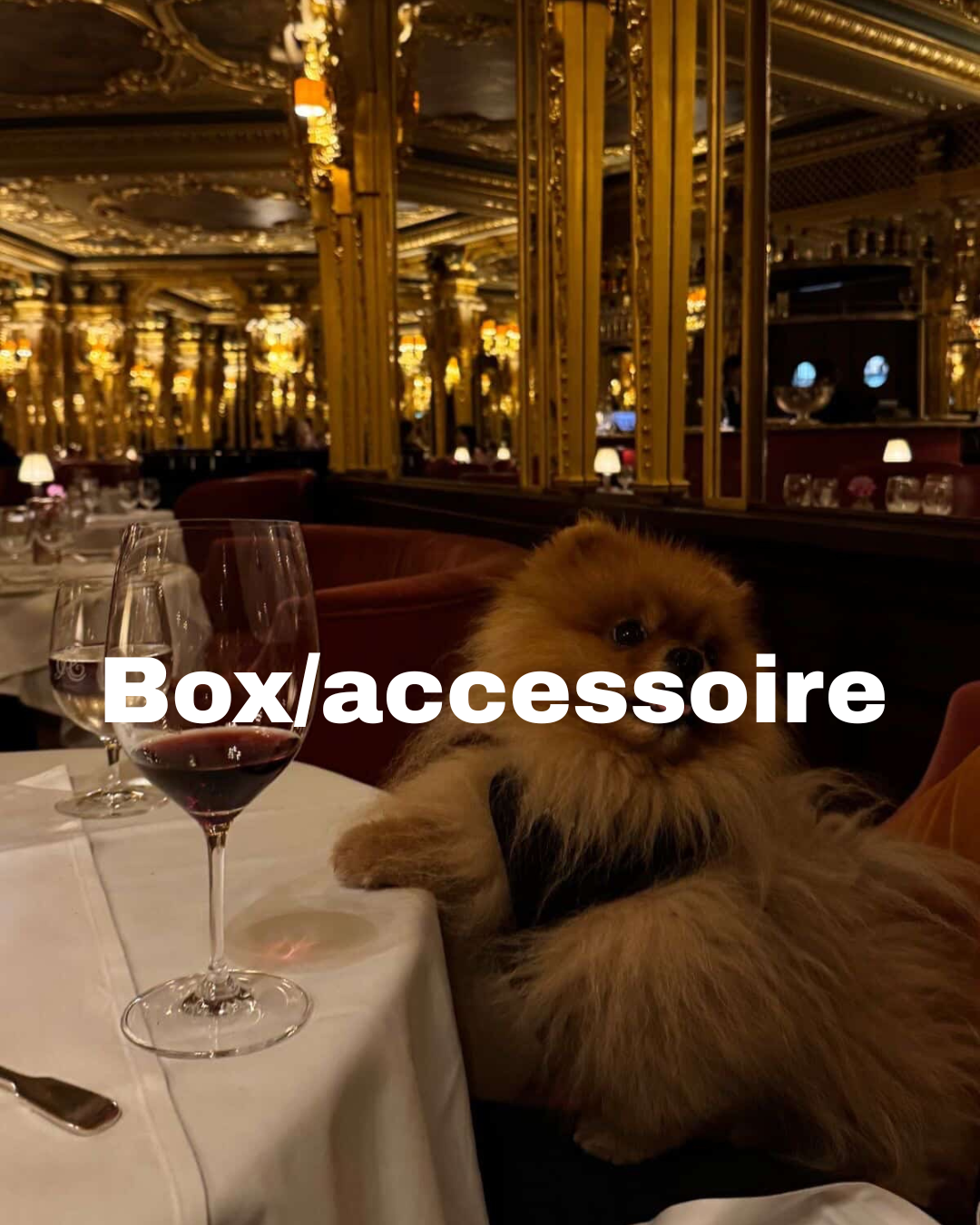 Box/Acessoires / écharpes ,Chapeaux